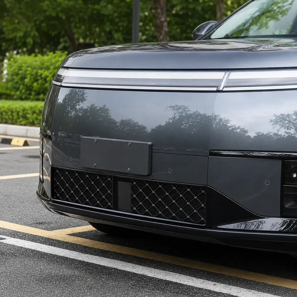 XPENG GX Front Grille Insect Protection Mesh