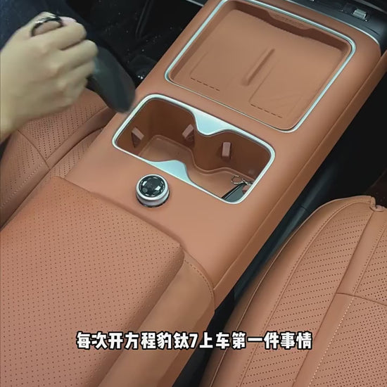 Leopard Titanium 7 center console water cup holder limiter and interior.